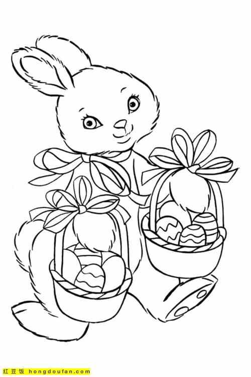 兔子从小到大的过程图片 简笔画
