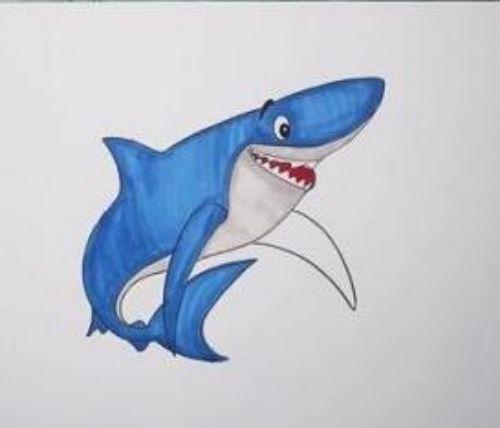 鲨鱼简笔画带颜色 步骤