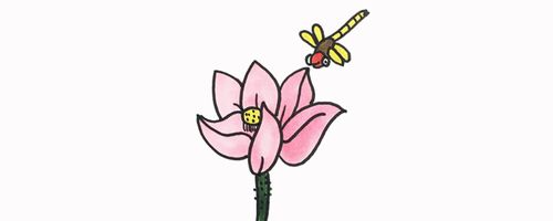 莲花蜻蜓荷叶莲子的画简笔画