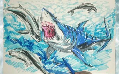 巨齿鲨大白鲨简笔画图片