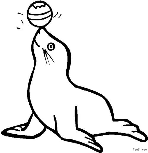 海狮-简笔画图片-儿童资源网手机版