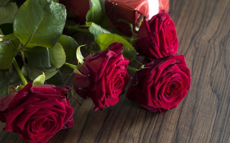 首页 鲜花 玫瑰 红玫瑰,礼物 壁纸 红玫瑰,礼物 壁纸 - 2880x1800