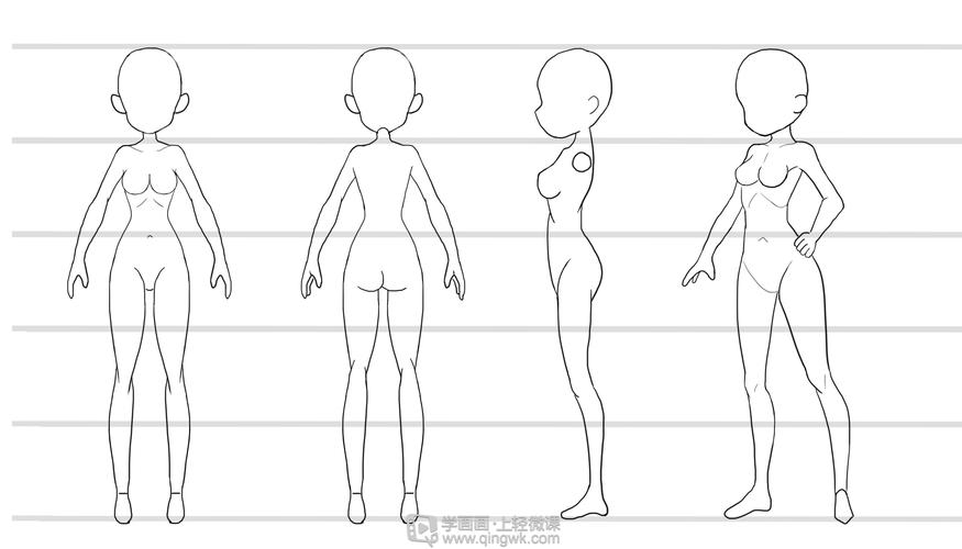 b                  5头身女性女性q版人体三视图