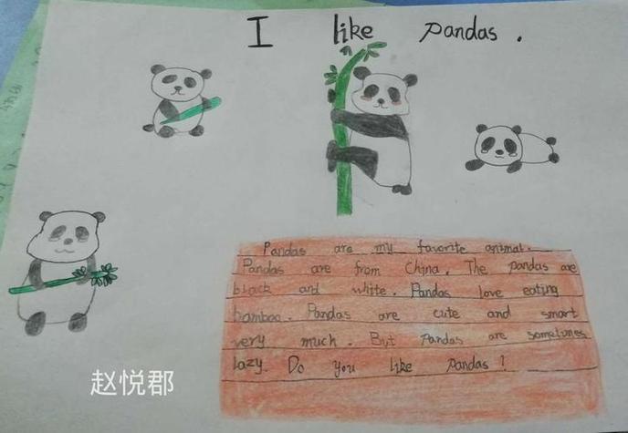 保护熊猫英语手抄报内容