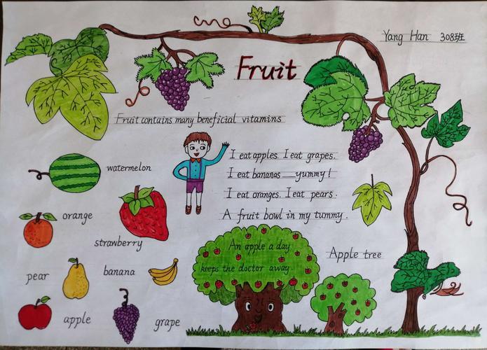 关于植物或水果的手抄报 英语水果手抄报