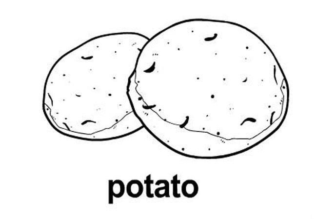 土豆美食简笔画图片大全大图