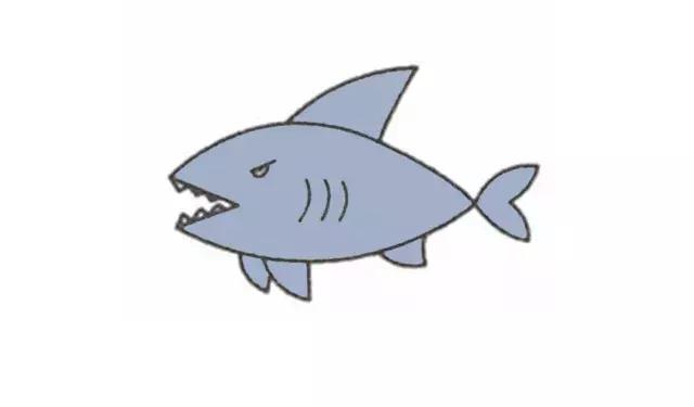 鲨鱼简笔画大白鲨可怕