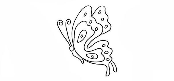 蝴蝶简笔画 漂亮的蝴蝶简笔画步骤图解教程,简笔画图片