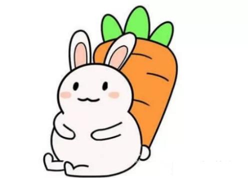 兔子简笔画彩色 可爱 表情