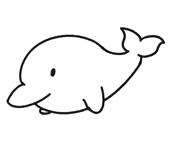 可爱的小海豚简笔画图片大全