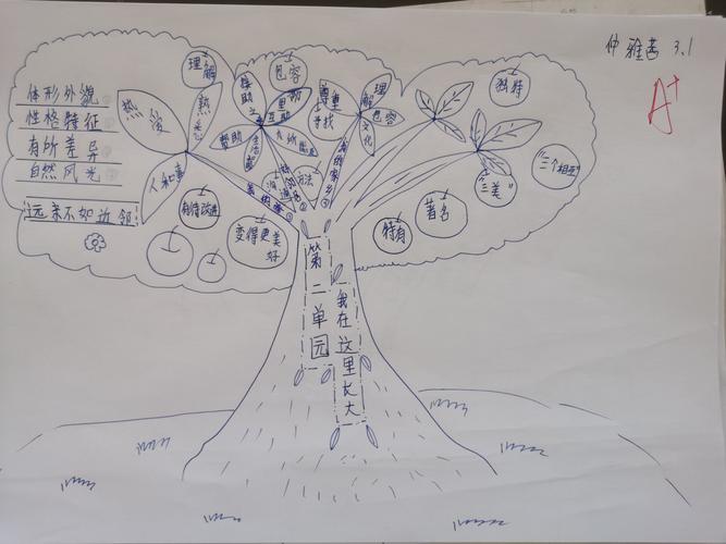 简笔画树幼儿园教案，儿童简笔画大树的教案