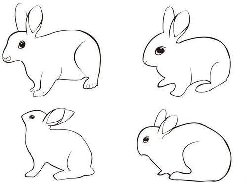 小动物兔子简笔画大图 简笔画图片大全-普车都