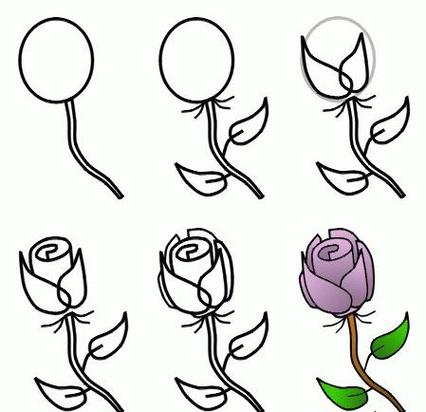 简笔画玫瑰花的画法视频