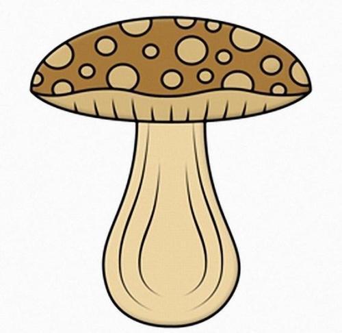 卡通蘑菇简笔画彩色