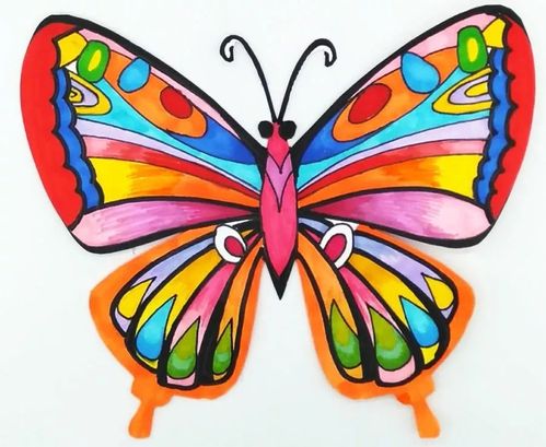 第五步,给蝴蝶画好花纹并用彩笔给蝴蝶涂色,注意颜色的搭配与渐变.