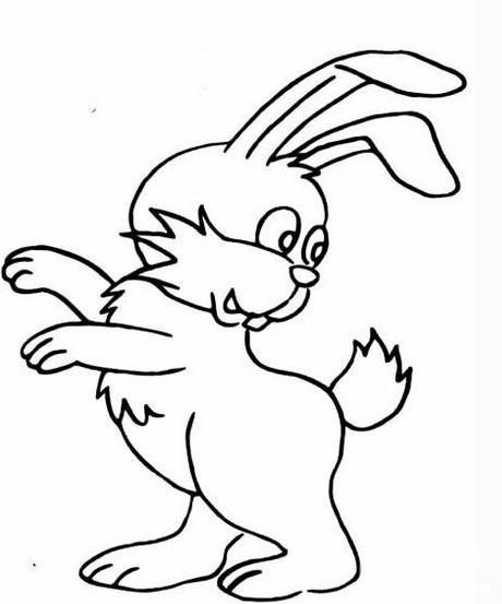 儿童简笔画动物兔子简笔画大全动物兔子