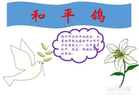 中国的鸽子怎么画手抄报的鸽子