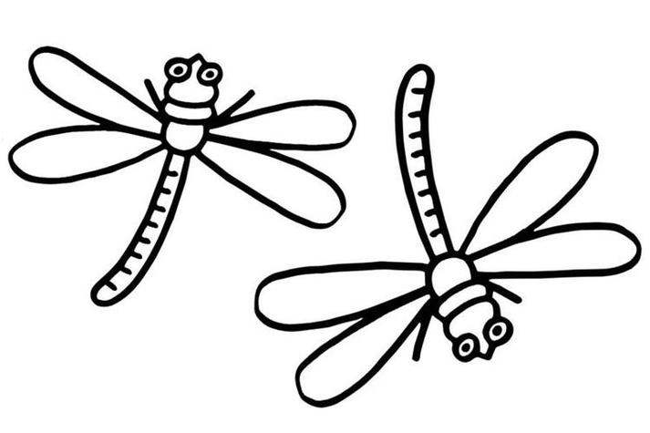 蜻蜓的简笔画照片