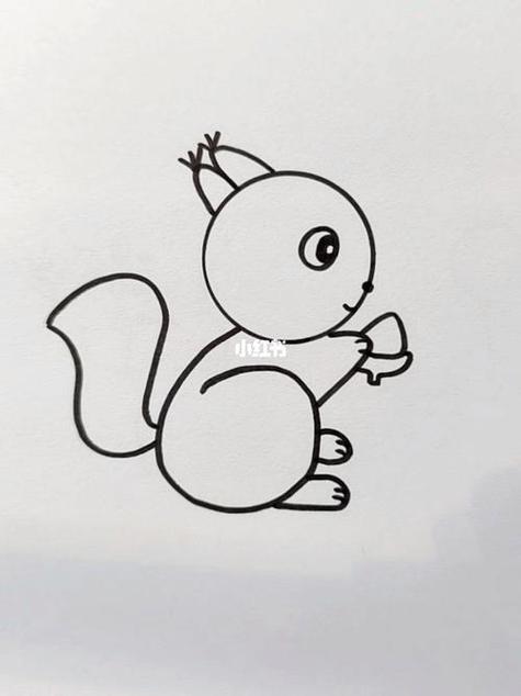 一年级小松鼠简笔画