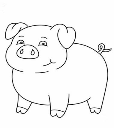 如何画卡通猪简笔画猪简笔画猪简笔画猪简笔画猪简笔画简笔画猪关于猪
