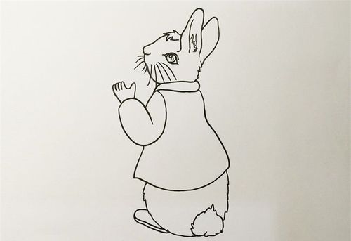 彼得兔里面所有的简笔画