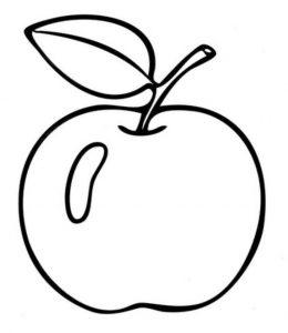 苹果如何画简笔画