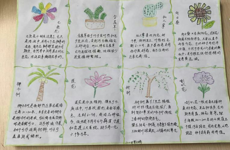 其它 9月植物手抄报欣赏 写美篇二(1)班本学期第一次手抄报