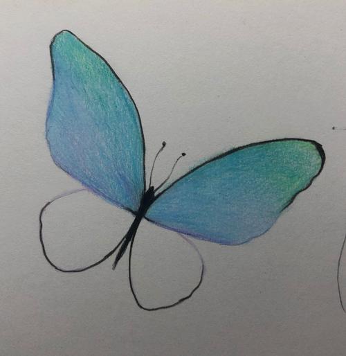 给线稿进行二次勾边,同时黑色也可以把身体画出来一,铅笔画出蝴蝶的形