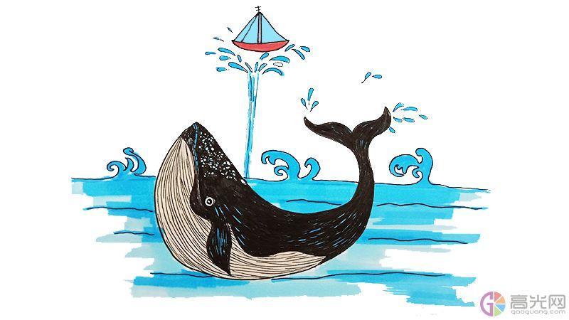 抹香鲸简笔画画法
