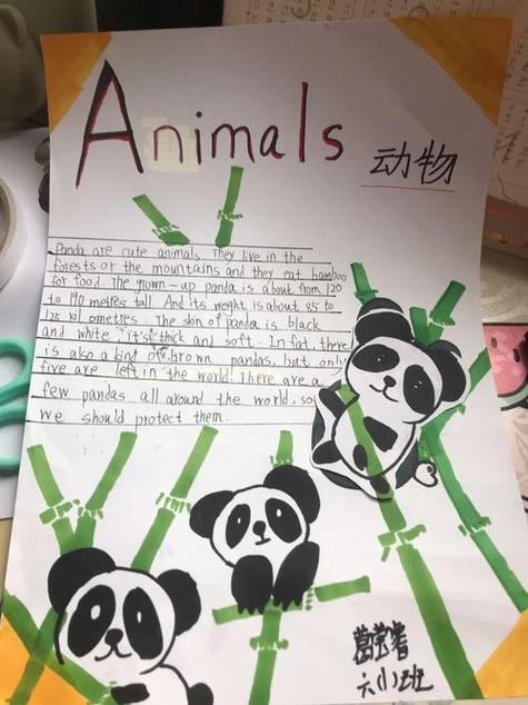 关于动物的英语手抄报四年级上册