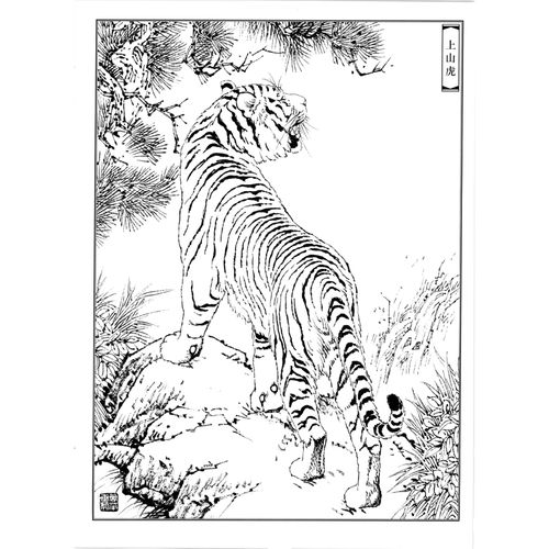 老虎工笔画白描底稿线稿国画动物临摹稿勾线国画实物打印