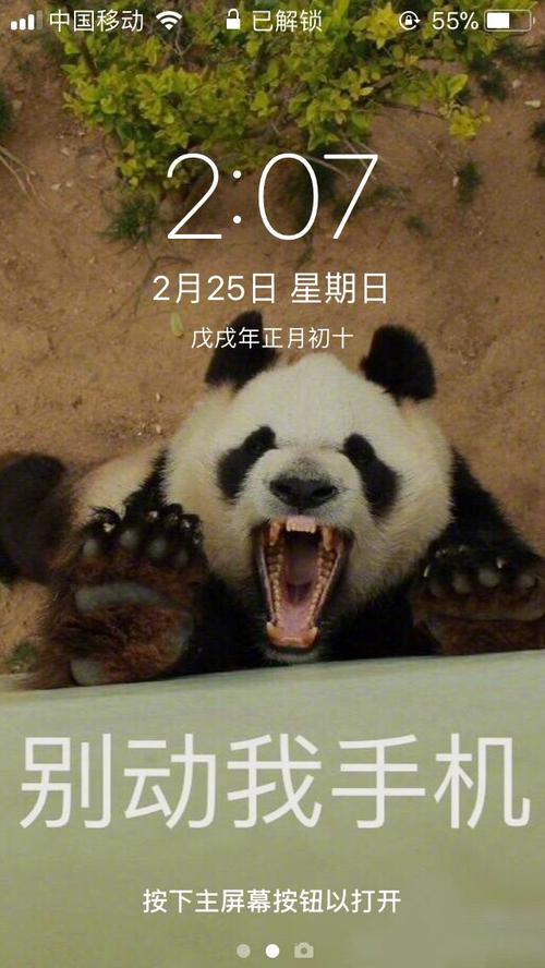 熊猫头手机壁纸