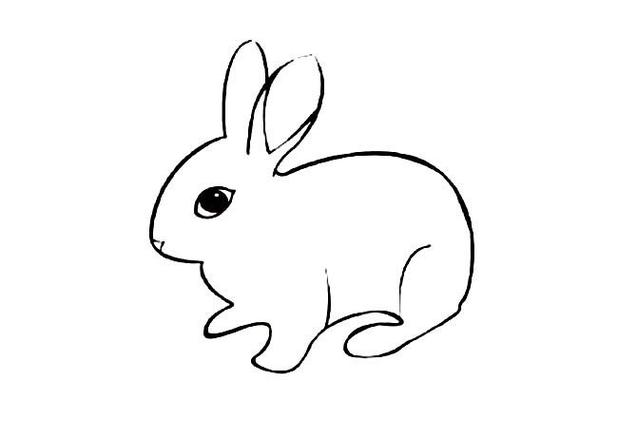小兔子三年级简笔画