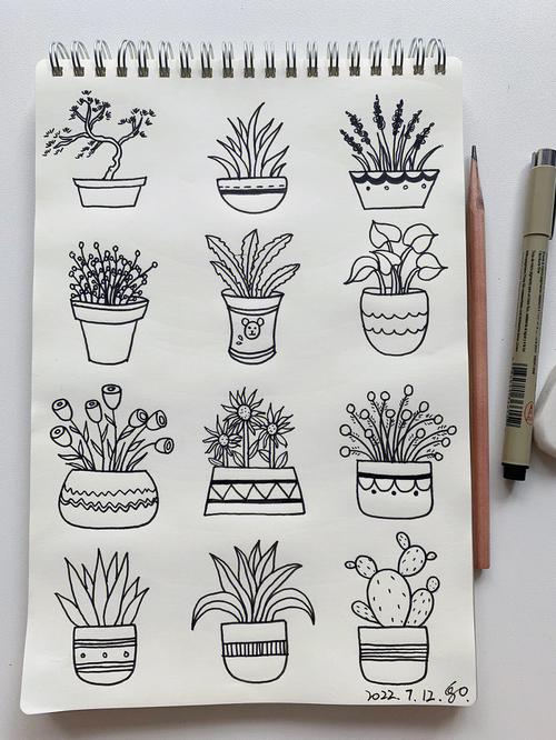 12种盆栽植物简笔画画法原创70