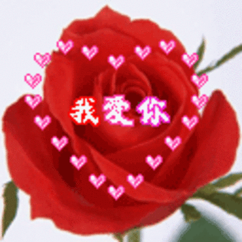 20(我爱你),520朵玫瑰送与你,一生一世只爱你!