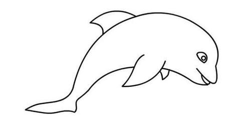海豚简笔画简单又帅