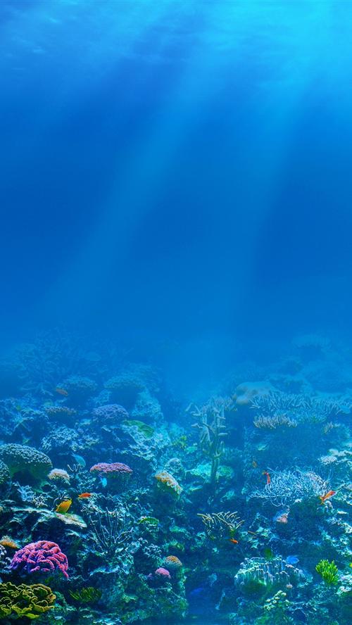 蓝色的大海,水下,太阳光线,鱼,珊瑚 iphone 壁纸