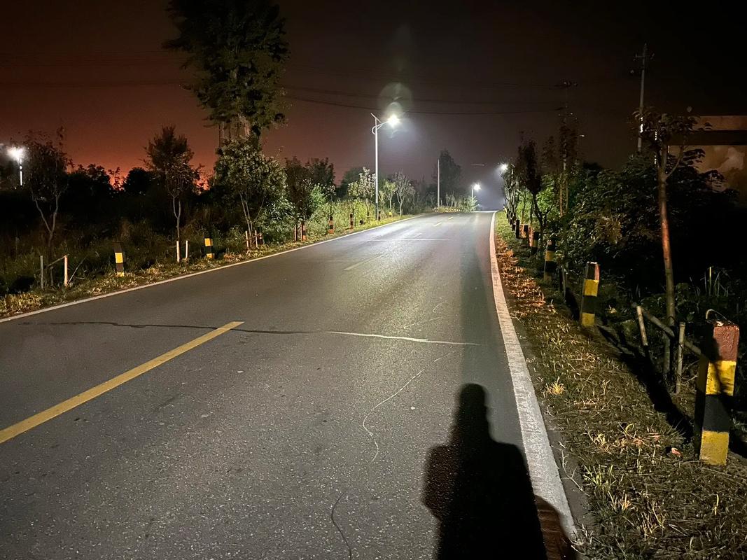 夜晚的乡村小路,是静谧的.#乡村夜景 #路灯下 # - 抖音