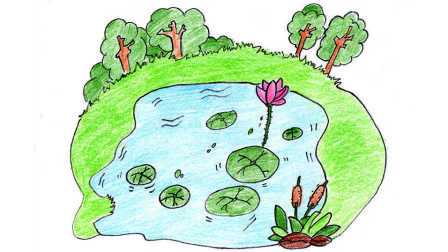 小池塘简笔画图彩色