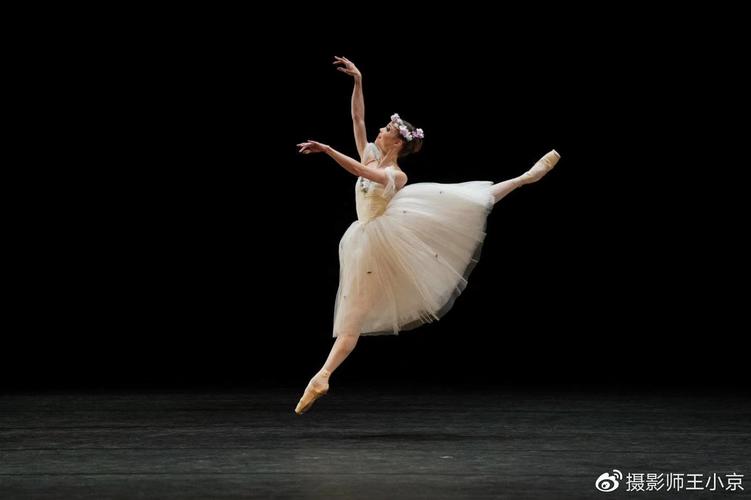 德国芭蕾明星莉萨演绎的《仙女》 ,轻盈飘逸的舞姿,配上肖邦的音乐,让