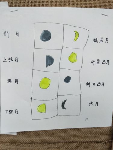 结合昨天的中教活动《月亮日记》,小朋友们还绘制了月相变化图