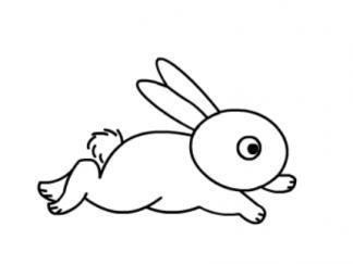 花间奔跑的兔子简笔画