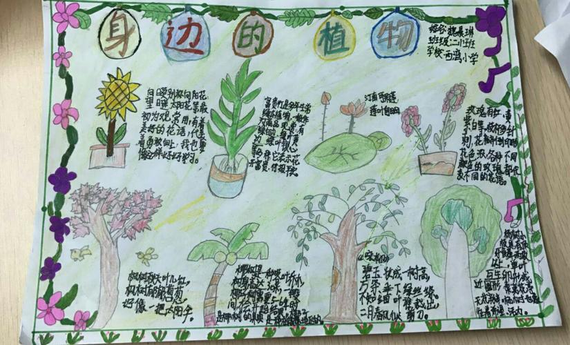 其它 9月植物手抄报欣赏 写美篇二(1)班本学期第一次手抄报