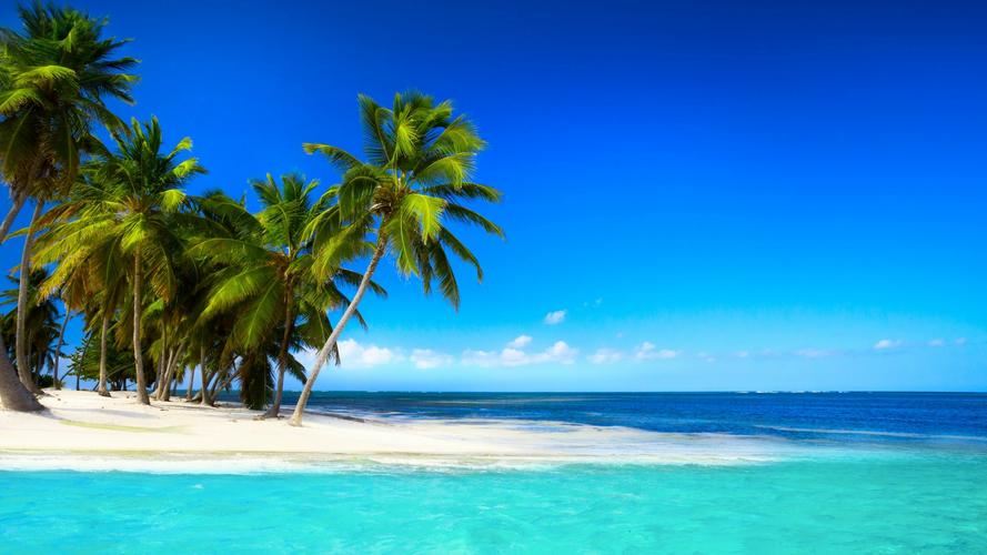 热带地区沙滩棕榈树蓝色大海天空美丽风景桌面壁纸