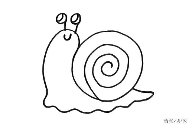 蜗牛的简笔画特点