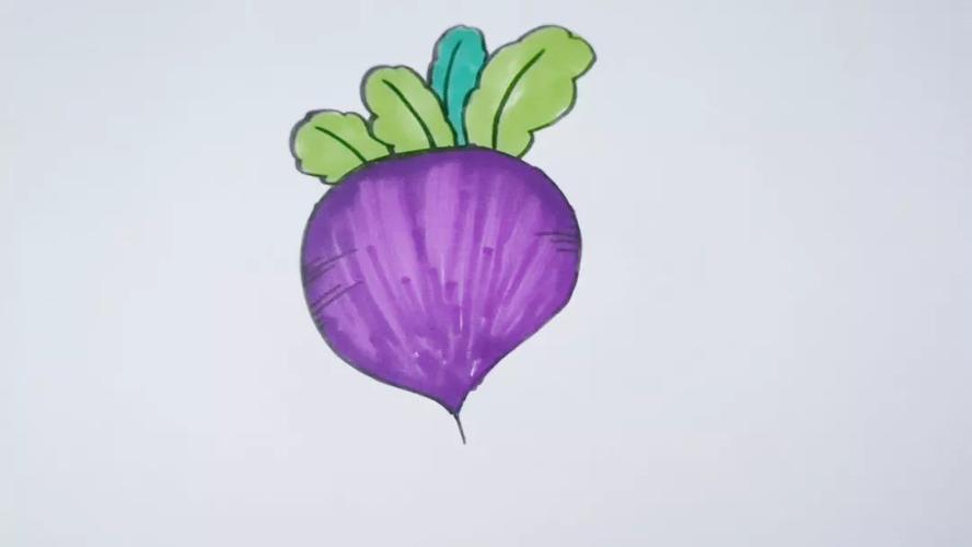 紫色蔬菜简笔画图片大全