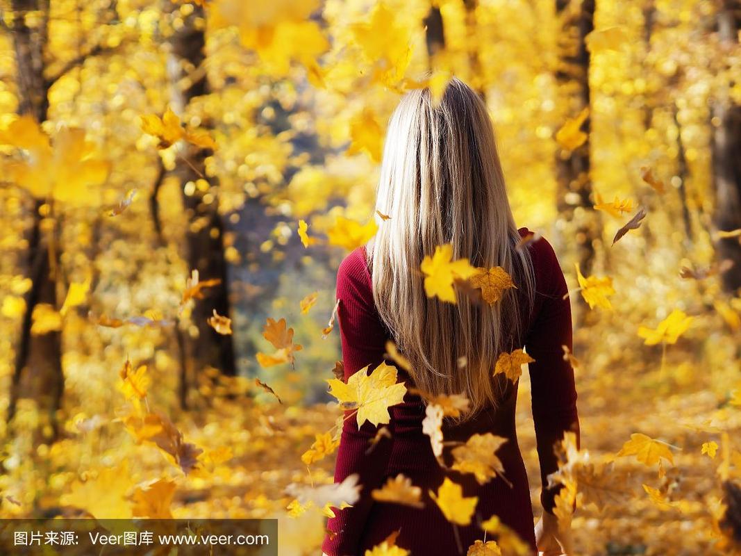 金发女孩的肖像在秋天的森林背影在落叶