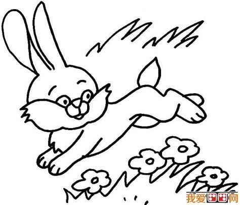 奔跑在草丛中的兔子简笔画 简笔画图片大全-普车都