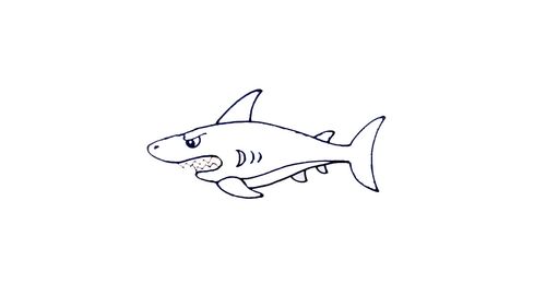 可爱大鲨鱼简笔画