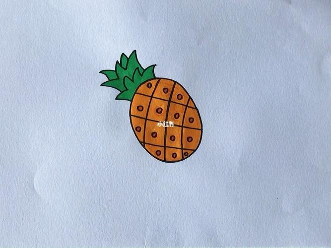 菠萝怎么画简笔画图片大全大图